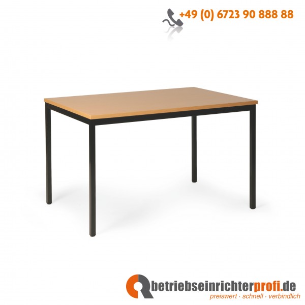 Taurotrade Allzwecktisch, 1600 x 800 mm, Buchendekor